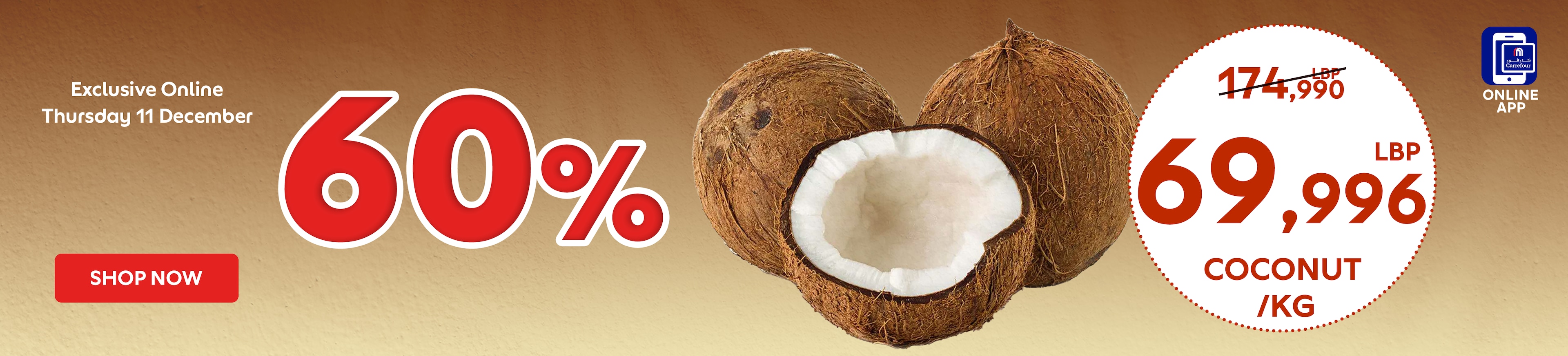 11122025_leb_hpstnd_hb_coco