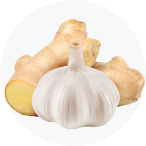 Garlic & Ginger