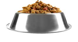 Organic Pets Food
