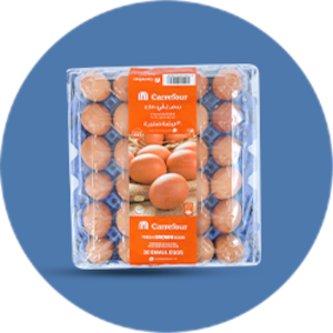 البيض ومنتجات الألبان