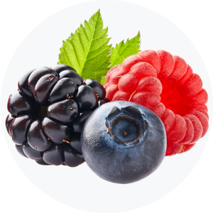 Berries 