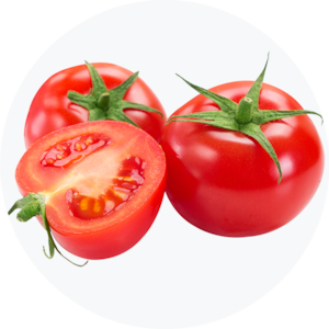 Tomato