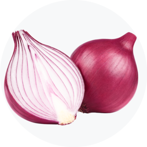 البصل والشالوت