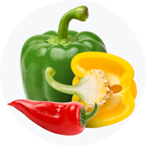 Capsicum & Chilli