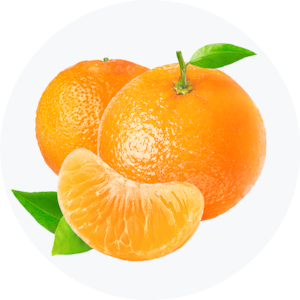 Clementine & Mandarin