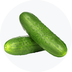 Cucumber