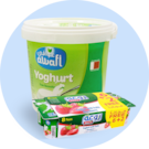 Yoghurt