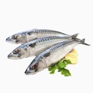 السمك والمأكولات البحريه