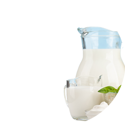 منتجات الألبان