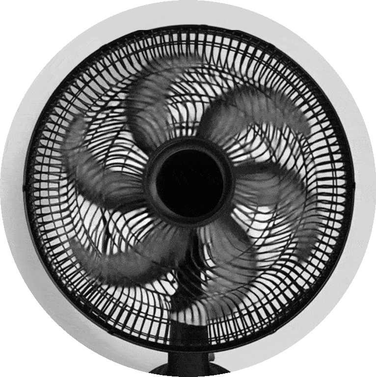 Fan