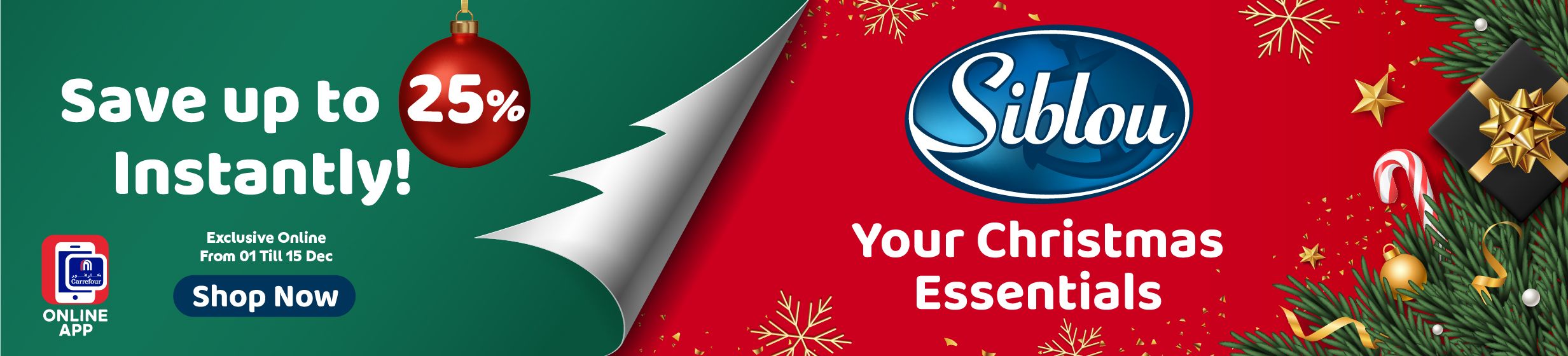 01122025_leb_hpstnd_hb_siblou