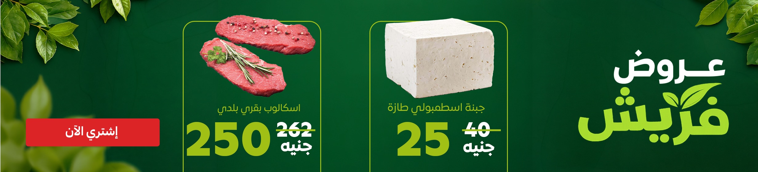 07092026_egy_hp_stnd_hb_fresh