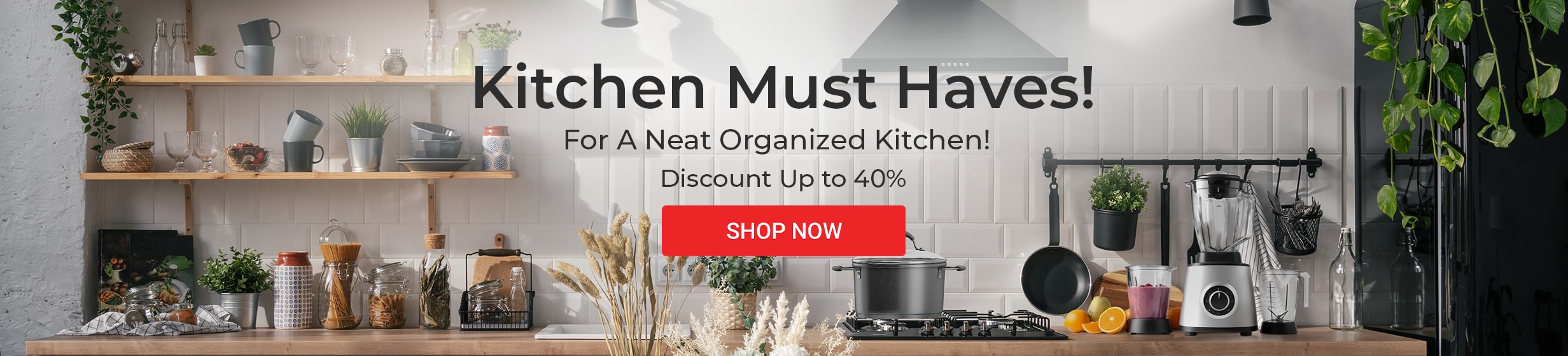 01012026_egy_clp_strip_kitchen_organizer