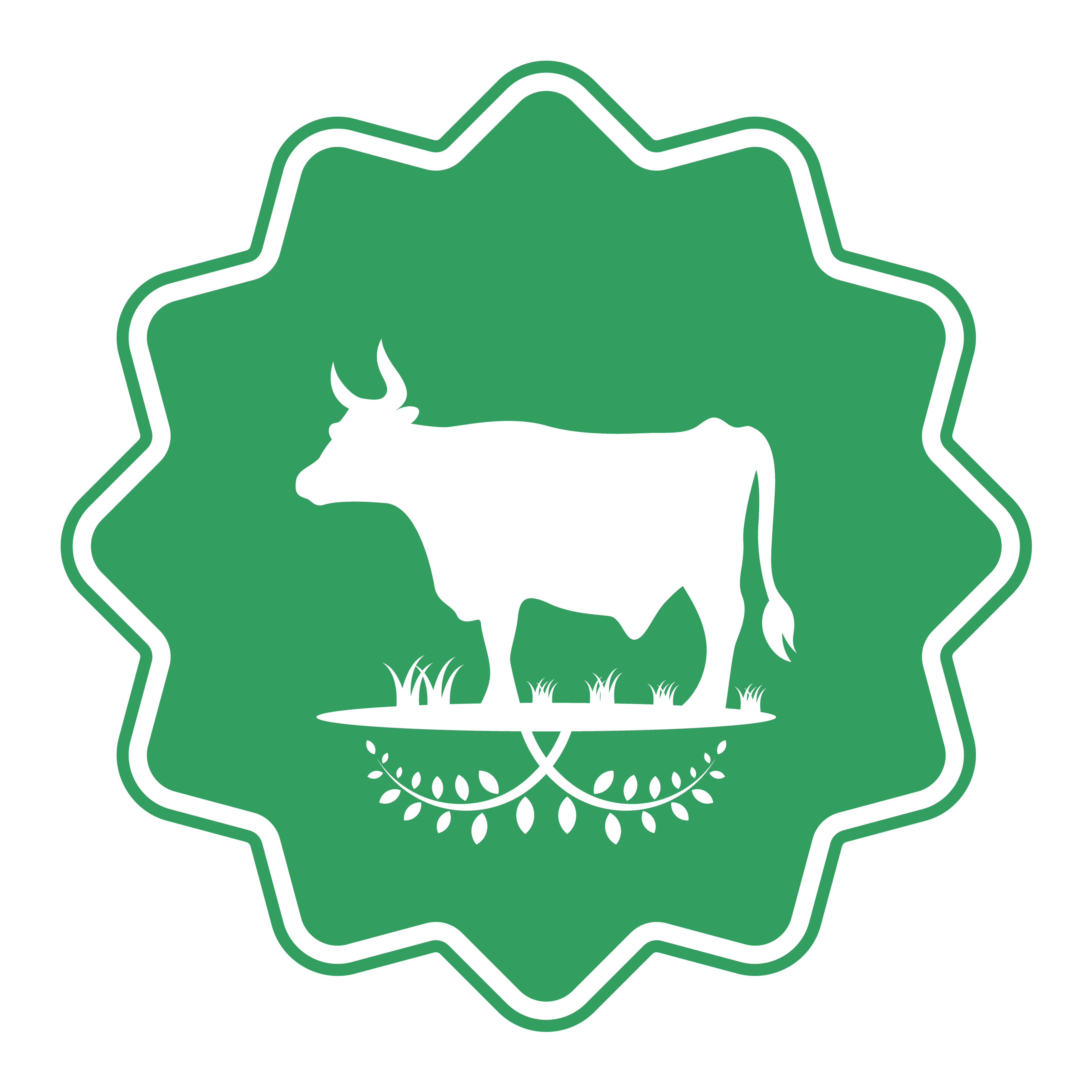 Organic Dairy