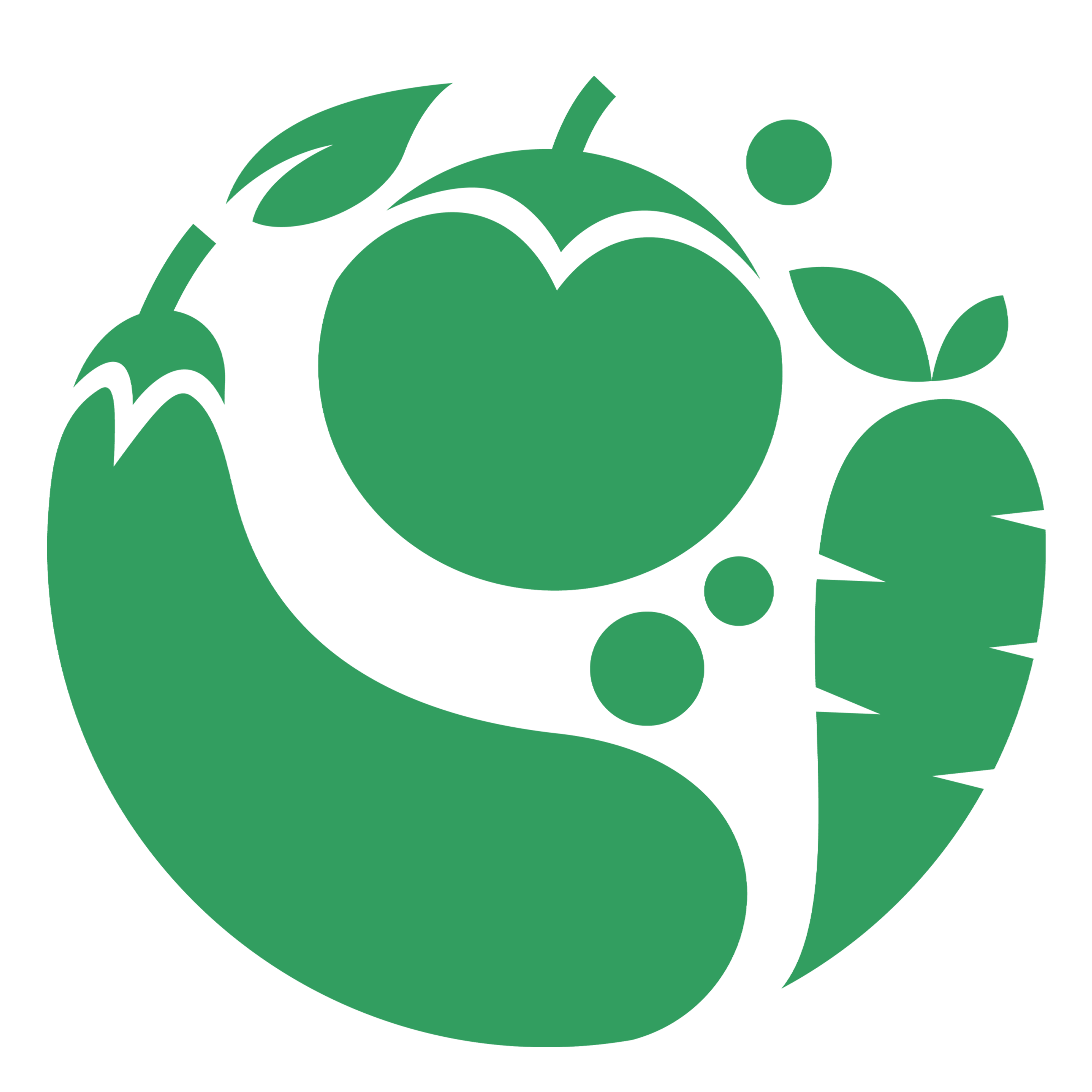 Organic Food Cupboard