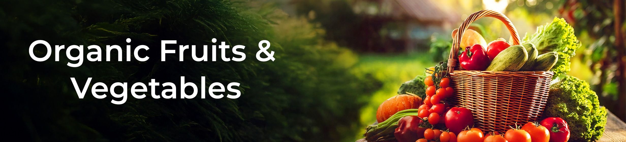 Fix_QAT_CLP_HB_Onsite_OrganicFruitsVegs