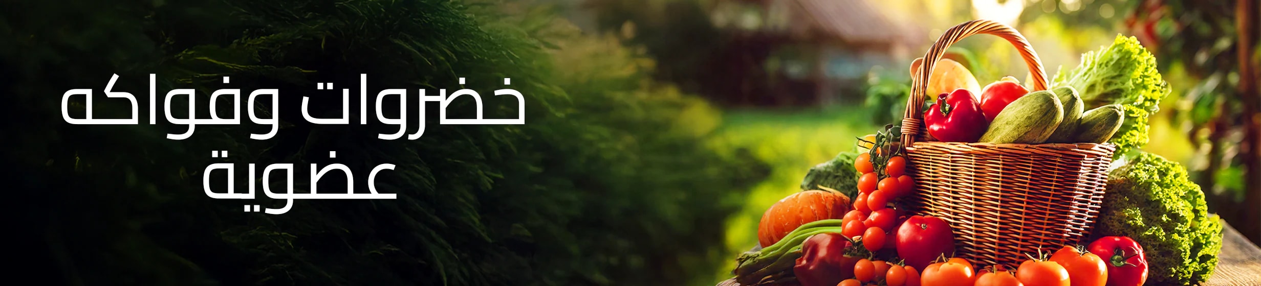 Fix_QAT_CLP_HB_Onsite_OrganicFruitsVegs