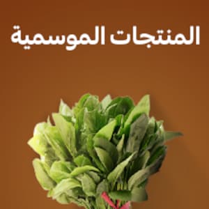 المنتجات الموسمية