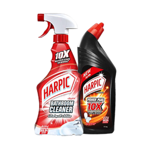 Toilet Cleaning