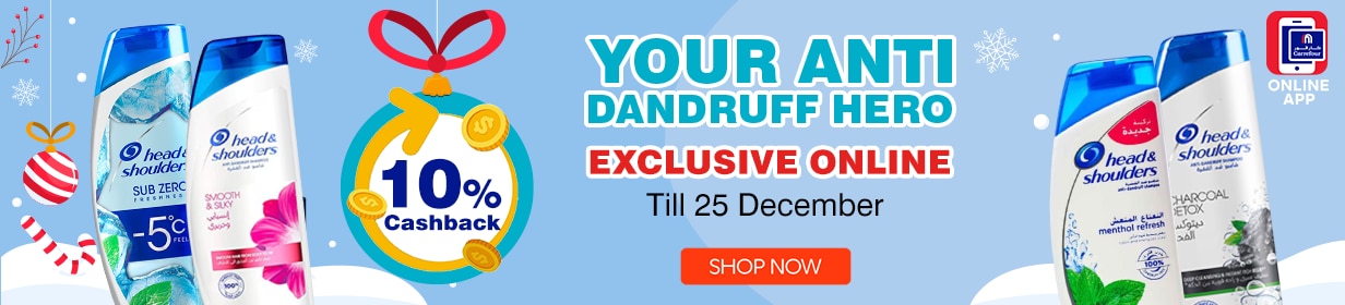 11122025_leb_hpstnd_hb_h&s