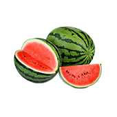 Melon