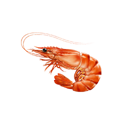 Seafood