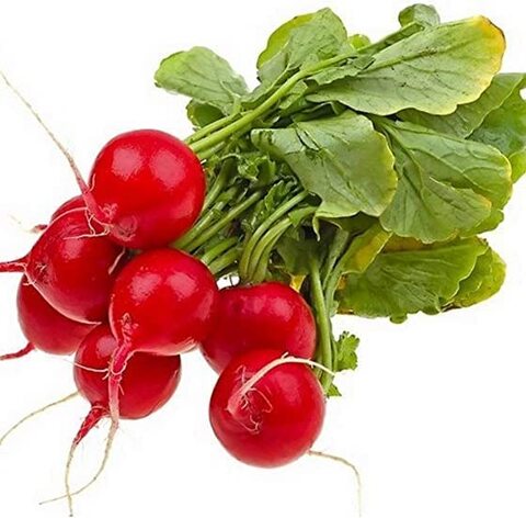 بذور الفجل الأحمر AG0352 إنتاجية عالية + صندوق البيرلايت الزراعي (5 لتر) من GARDENZ