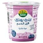 Buy Nada Greek Blueberry Yoghurt 360g in UAE