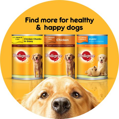 Pedigree Original Wet Dog Food 400g