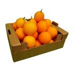 Buy Mafa Orange for Juice - 6.5 Kg in Egypt