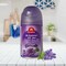 Carrefour Air Freshener Automatic Spray Refill Lavender Clear 250ml