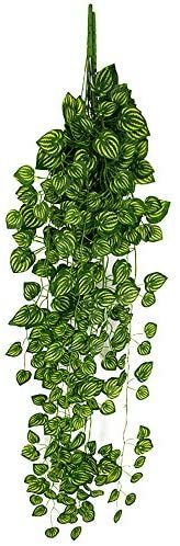 Buy Generic Artificial Fake Hanging Vine Plant Leaves Garland Home Garden Wall Decoration Online Shop Home Garden On Carrefour Uae