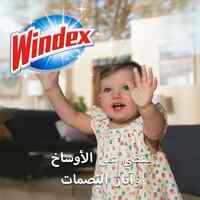 Windex Lavender Window &amp; Glass Cleaner 750ml