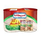 Buy Americana Foul with Oil, Lemon and Cumin - 2 Pieces in Egypt