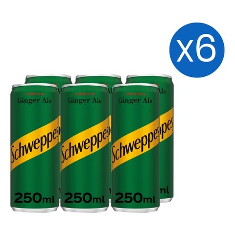 Schweppes GingerAle Carbonated Drink Can 250ml Pack of 6