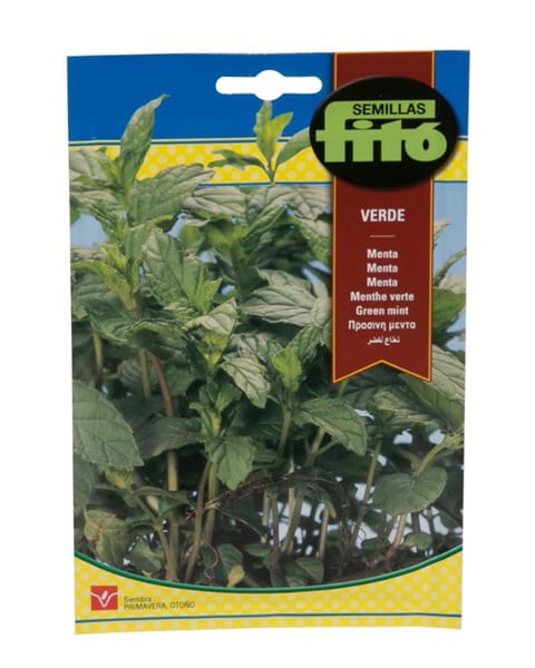 Fito Green Mint