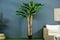 Pan Emirates Home Furnishings Banana Tree Green H240cm 222Daq9900044