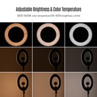 Generic-18 Inch Dimmable SMD LED Ring Light Kit 48W Stepless Brightess Adjustment 3200K-5600K Lighting Ringlight with Tripod Stand Carrying Bag Cell Phone Holder Hot Shoe Adapter for YouTube Video Live