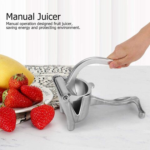 Fruits squeezer store