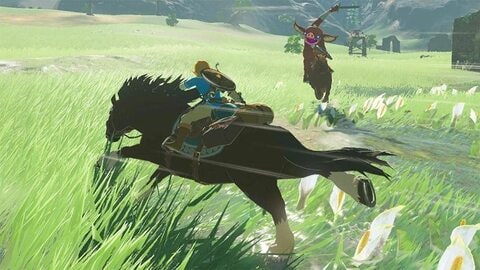 Nintendo The Legend of Zelda: Breath of the Wild - Nintendo Switch