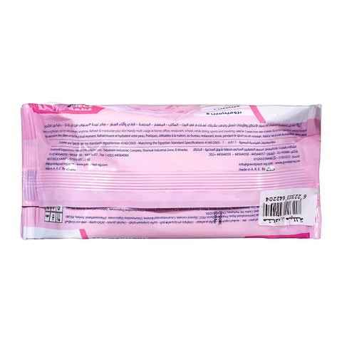 Queen Ultra Soft Wipes - 80 Wipes