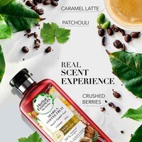 Herbal Essences Bio Renew Volume Arabica Coffee Fruit Shampoo 400ml