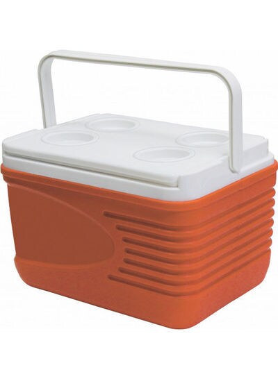 Picnic ice hot sale cooler