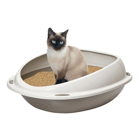 Oval 2025 litter box