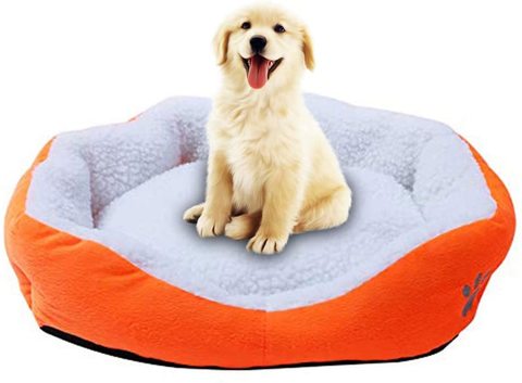 اشتري Mumoo Bear Pet Dog Cat Bed Mat Sleeping House Nest Pad Kennel Puppy Fleece Soft Cotton Sleep Playing Cushion Sofa with Paw Print, Rectangle (Orange) في الامارات