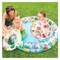 INTEX POOL FISHBOWL SET