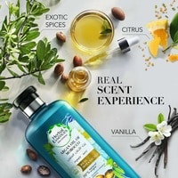 Herbal Essences Bio Renew Argan Oil of Morocco Shampoo 400ml+ Conditioner 400ml