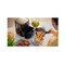 Philips Essential Airfryer HD9200/90 Black