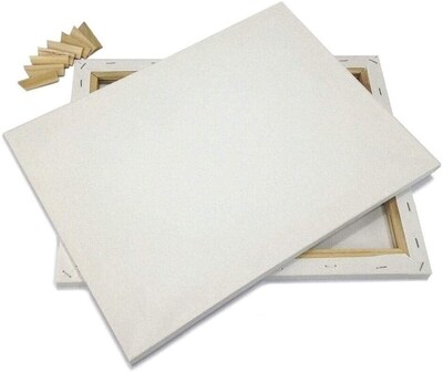 Buy Generic Blank Canvas 40 By 60 cm Online Shop Stationery