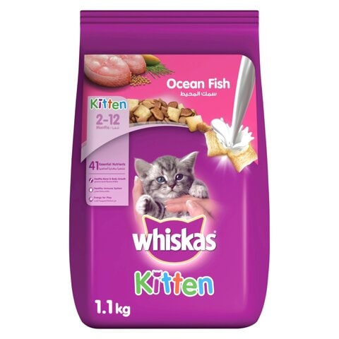ويسكاس طعام جاف للقطط الصغيرة بنكهة سمك المحيط والحليب 1.1 كغ